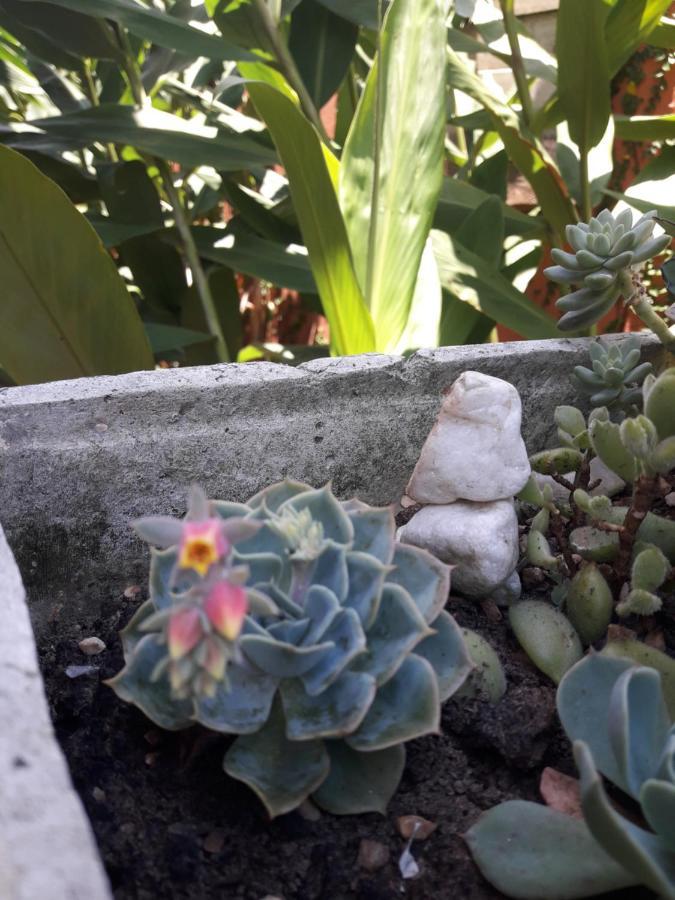 Casa Indaiá BnB Caraguatatuba Exterior foto