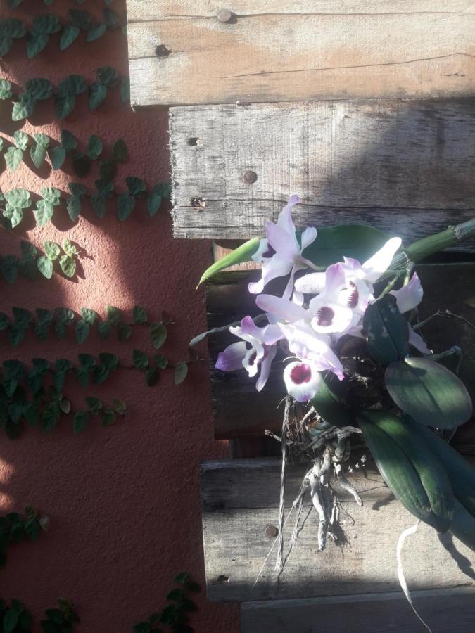 Casa Indaiá BnB Caraguatatuba Exterior foto