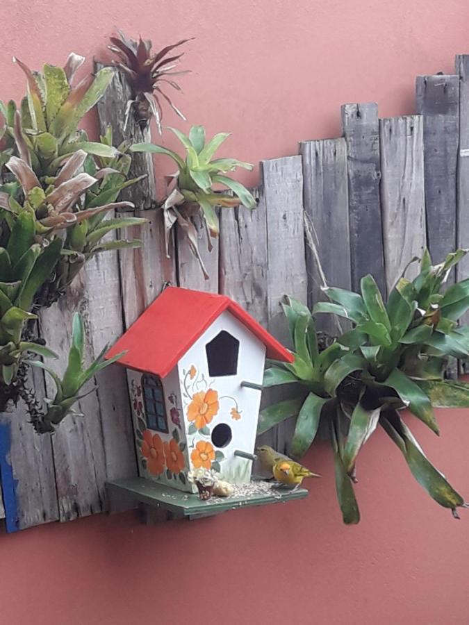 Casa Indaiá BnB Caraguatatuba Exterior foto